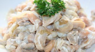 Картинка по теме - как приготовить фасоль с грибами