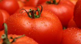 Картинка по теме - как готовить томатную пасту