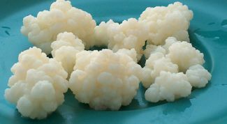 Картинка по теме - как лечиться молочным грибом