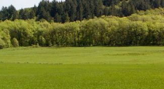 Картинка по теме - как найти собственника земельного участка