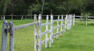 Картинка по теме - как снять земельный участок с кадастрового учета