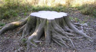 Картинка по теме - как удалить пень