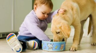 Картинка по теме - как лечить острицу у детей