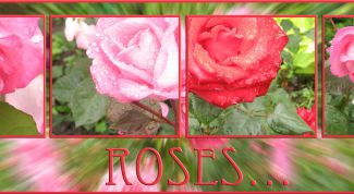 Картинка по теме - как сделать фотографию из четырёх