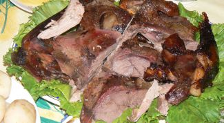 Картинка по теме - как приготовить вальдшнепа