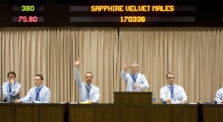 Картинка по теме - как оформить заявку на участие в аукционе