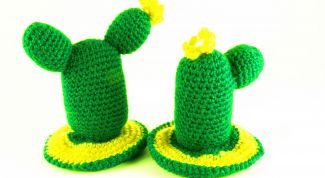 Картинка по теме - как связать кактус