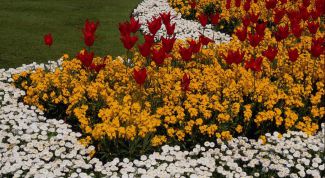 Картинка по теме - как сделать цветочную клумбу