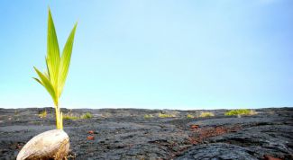 Картинка по теме - как начать новую жизнь советы