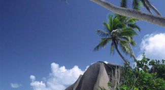 Картинка по теме - как создать свою туристическую фирму