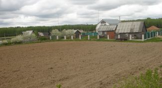 Картинка по теме - как получить свидетельство о собственности на землю