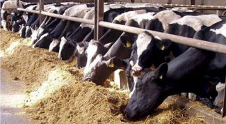 Картинка по теме - как сделать сеноизмельчитель