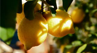 Картинка по теме - как повысить кислотность желудочного сока