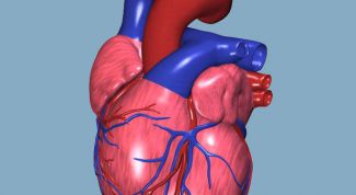 Картинка по теме - как снять сердцебиение