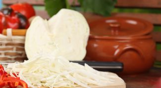 Картинка по теме - как приготовить капустный пирог