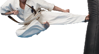 Картинка по теме - как отрабатывать удары ногами