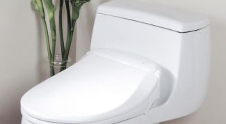 Картинка по теме - как убрать налет на унитазе