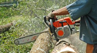 Картинка по теме - как выбрать цепную пилу