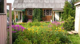 Картинка по теме - как оформить дарственную на дачу