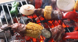 Картинка по теме - как приготовить шашлык быстро