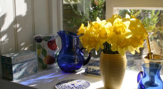 Картинка по теме - как дольше сохранить цветы в вазе