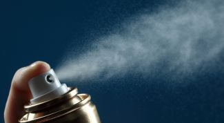 Картинка по теме - как избавиться от блох