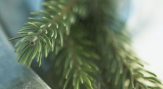 Картинка по теме - как сделать елку своими руками