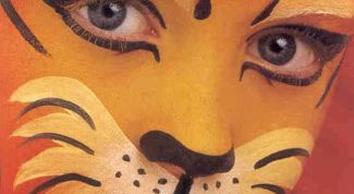 Картинка по теме - как нарисовать тигра на лице