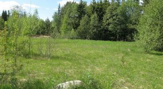 Картинка по теме - как продать земельную долю