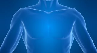 Картинка по теме - как укрепить почки