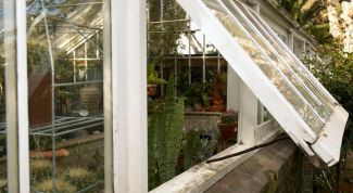 Картинка по теме - как устроить парник