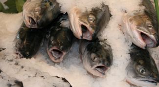 Картинка по теме - как солить судака