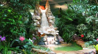 Картинка по теме - как создать зимний сад