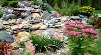 Картинка по теме - как сделать дизайн сада