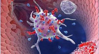 Картинка по теме - как очистить кровь от токсинов