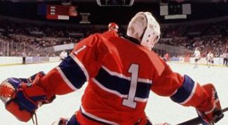 Картинка по теме - как выбрать хоккейные краги