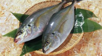 Картинка по теме - как готовить рыбу на пару