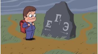 Картинка по теме - как подготовиться к егэ по информатике