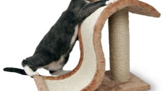 Картинка по теме - как отучить кошку царапать обои