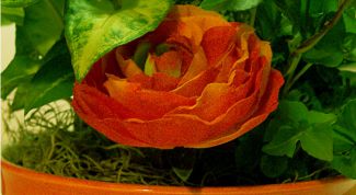 Картинка по теме - как оформить цветочный горшок