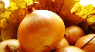 Картинка по теме - как получить хороший урожай лука