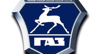 Картинка по теме - как смотать спидометр на газ