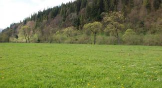 Картинка по теме - как взять участок под дом