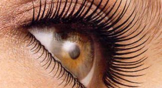 Картинка по теме - как удлинить ресницы народными средствами