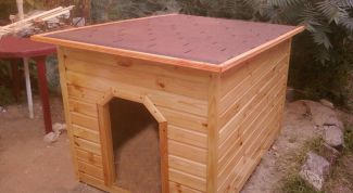 Картинка по теме - как построить будку для немецкой овчарки