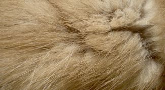 Картинка по теме - как пришить меховой воротник