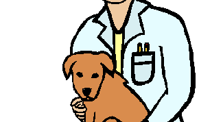 Картинка по теме - как получить ветеринарную лицензию