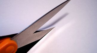 Картинка по теме - как вырезать объект в фотошопе на русском