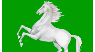 Картинка по теме - как найти человека из томска