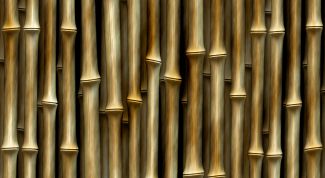 Картинка по теме - как обрезать бамбук